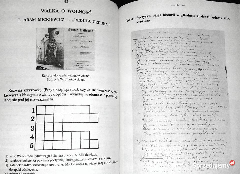 Język polski Zeszyt ćwiczeń kl 7 cz 2 Halina Chełm sprzedam