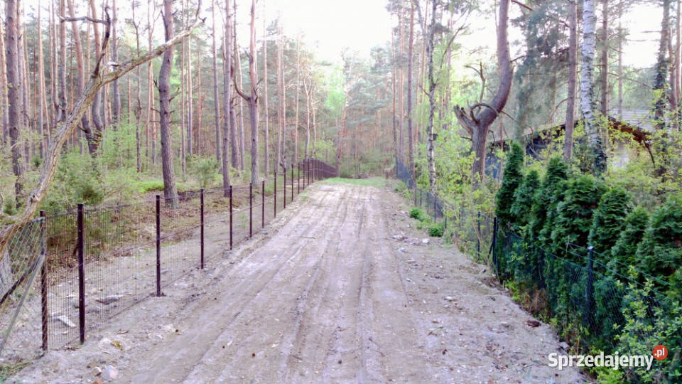 Ruda koło Radzymina działka BEZPOŚREDNIO mazowieckie sprzedam