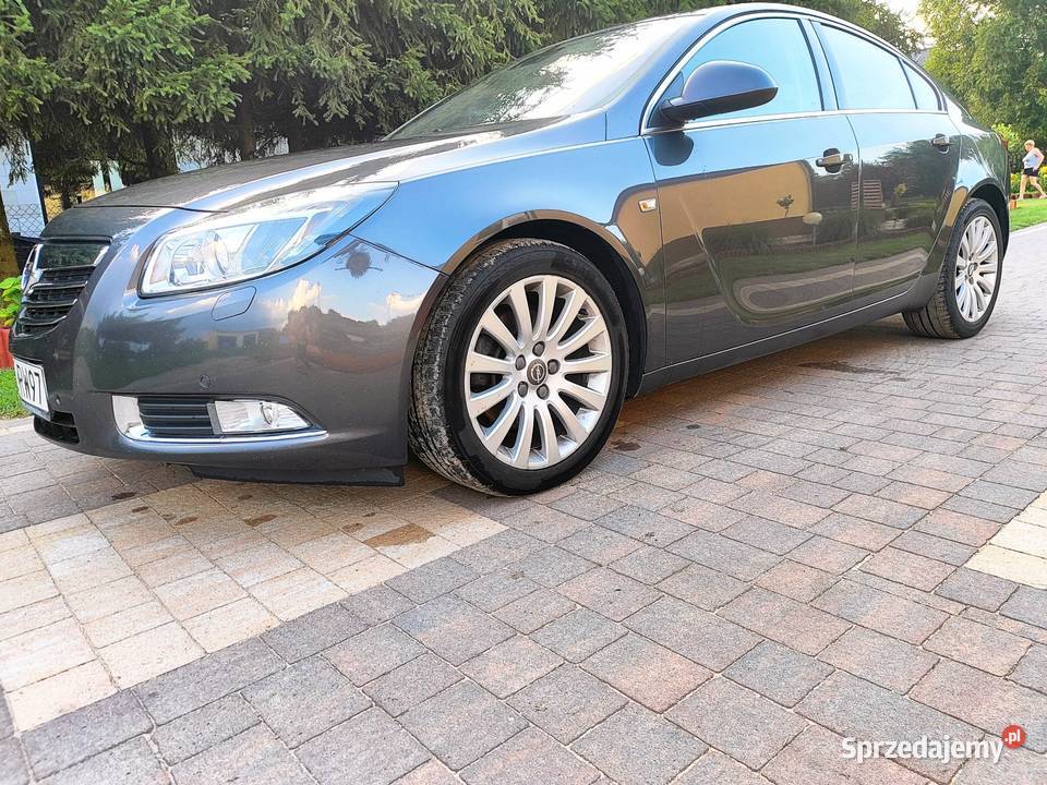 OPEL Insignia A 20 CDTI Sport diesel Brzóza
