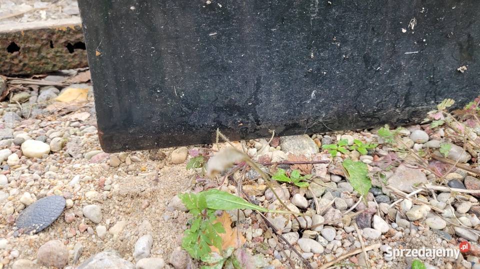 Drzwi Opel Vectra B Łagów