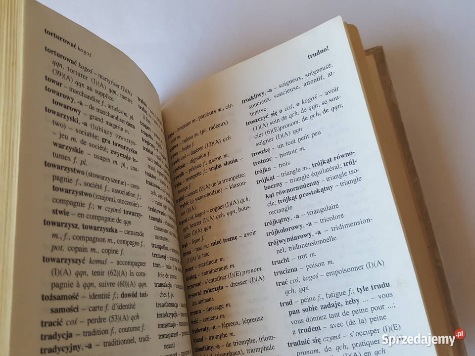 KSIĄŻKA Szkolny słownik polsko francuski Anna Rok wydania 1992 Złotniki