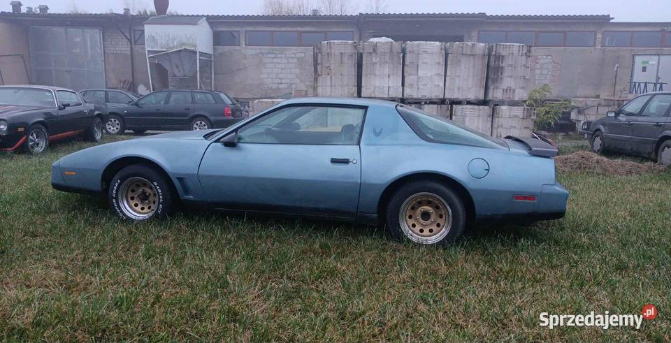 Pontiac Firebird Trans AM 3 gen 1982r 57 V8 TPI kujawsko-pomorskie Więcbork