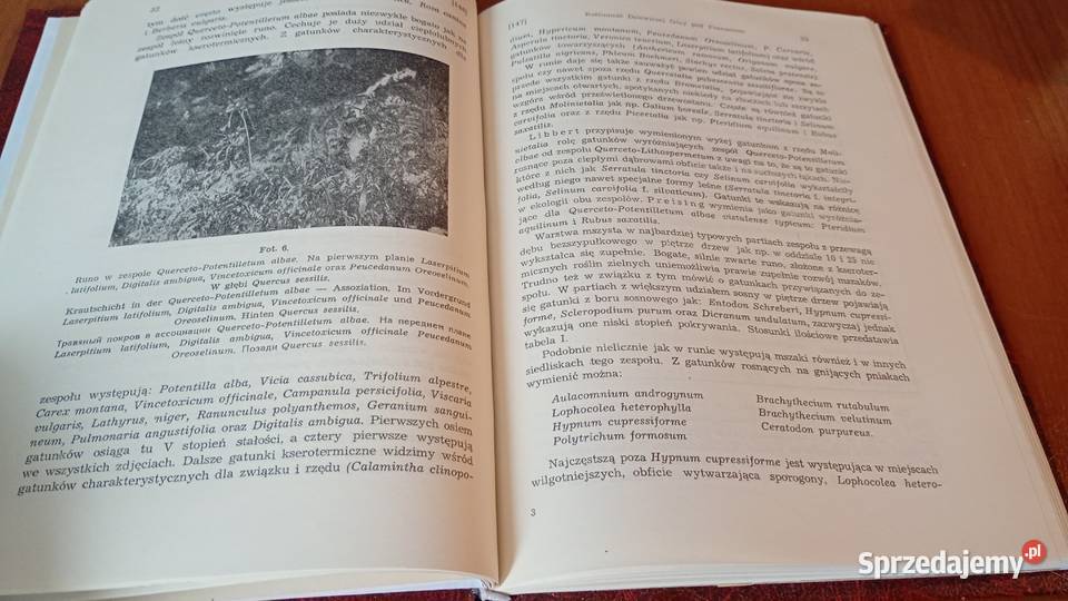 Roślinność Dziewiczej Góry pod Poznaniem Halina Gdańsk sprzedam