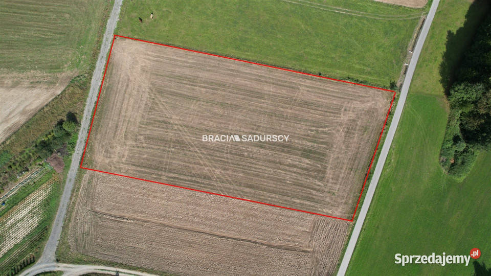 Do sprzedaży grunt Szyk 6023m2 małopolskie