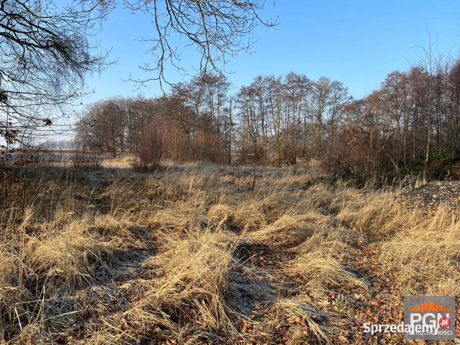 Działka 3001m2 Kamień Pomorski zachodniopomorskie