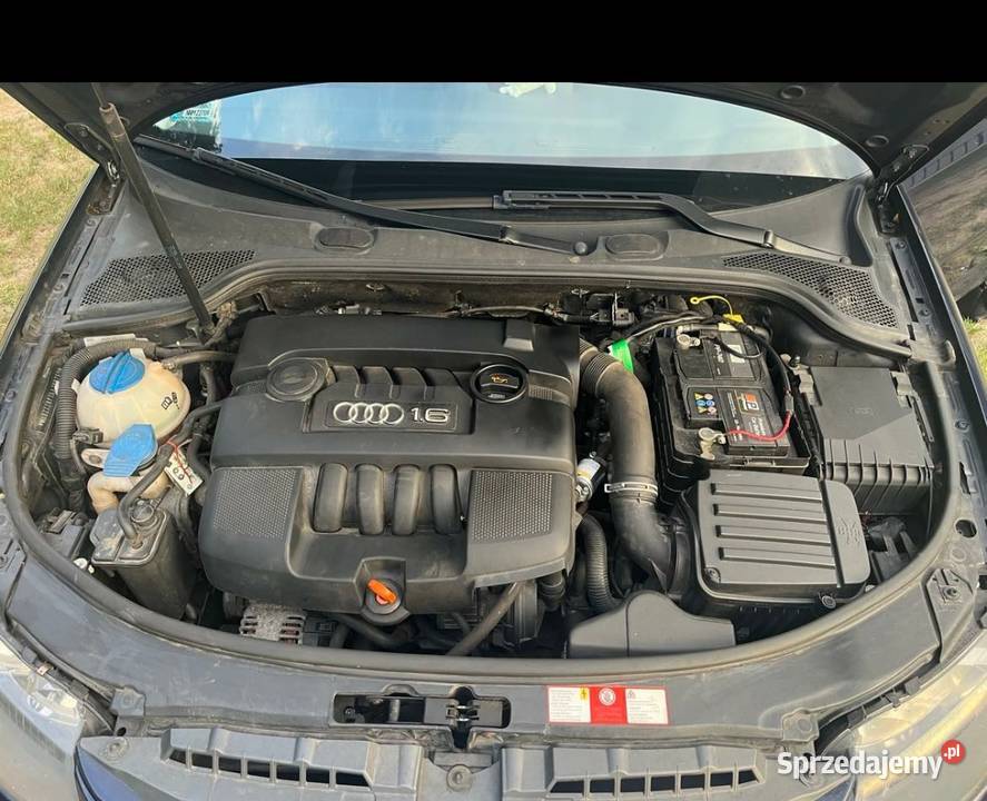 Audi A3 2005 16 MPI Nowe Miasto Lubawskie