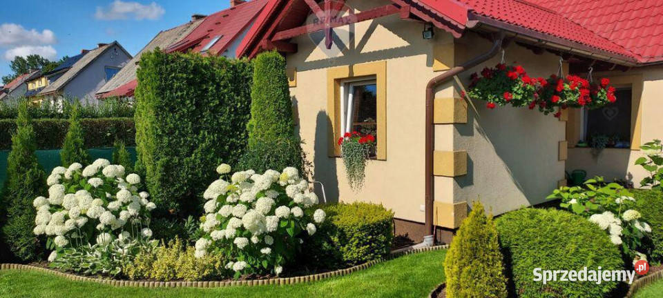 DomBliźniak na sprzedaż Mirowo Duże pomorskie