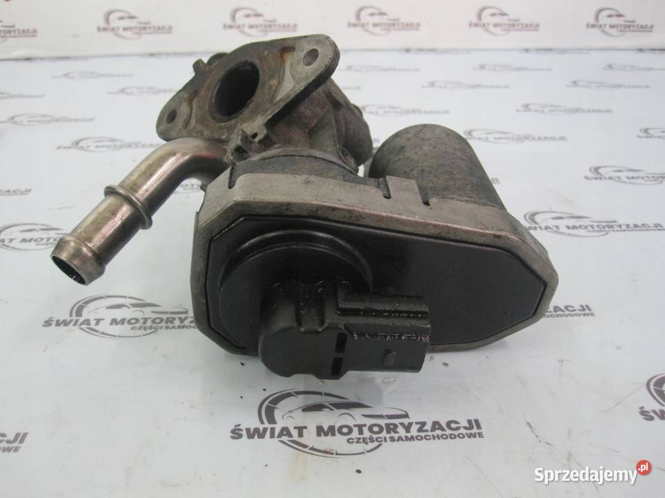 Ford TRANSIT MK7 22 TDCI QVFA 110 09r zawór EGR osobowe