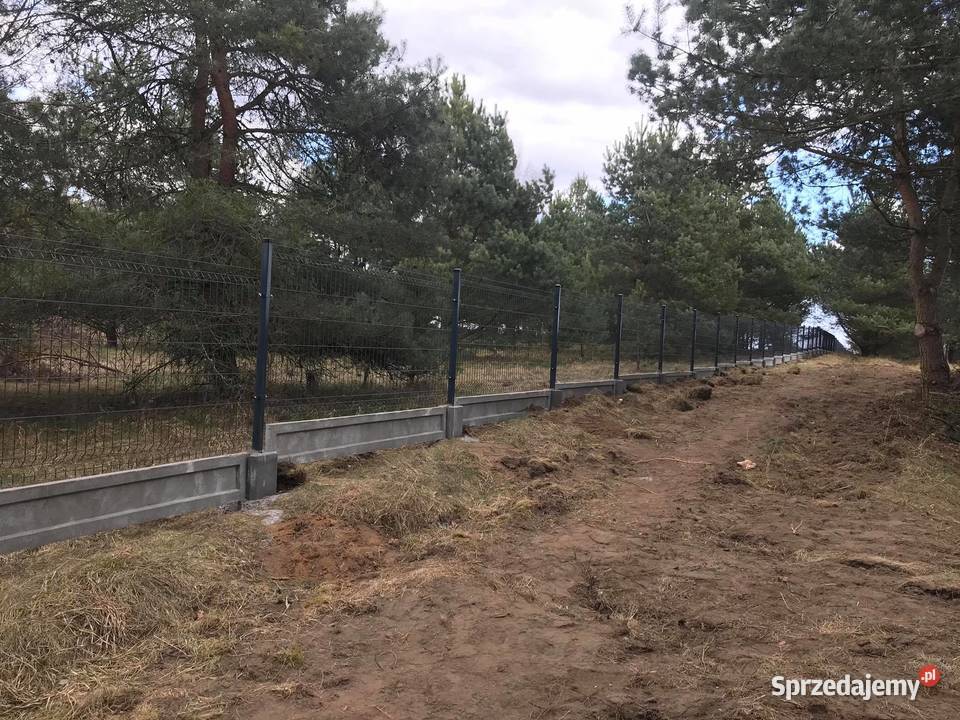 Ogrodzenie Panelowe Szybka realizacja łódzkie Koluszki