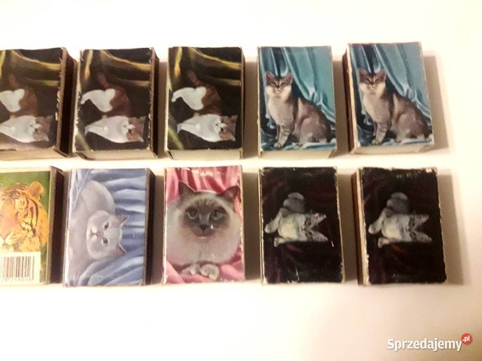 Zapałki pudełka zapałek dziewczyny i koty Piotrków Trybunalski