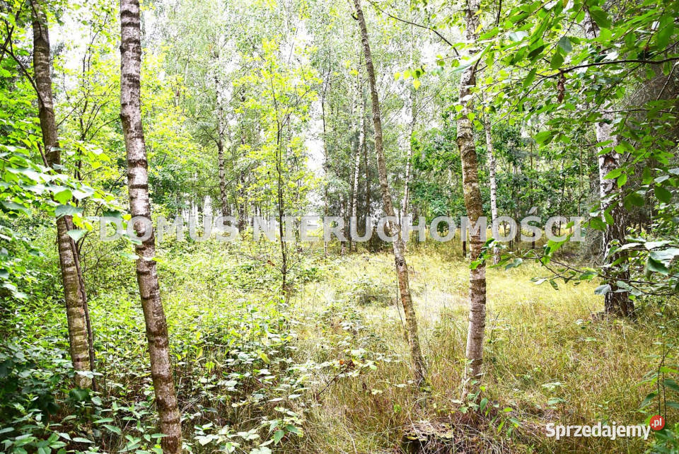 sprzedaży działki 7075m2 Zacywilki