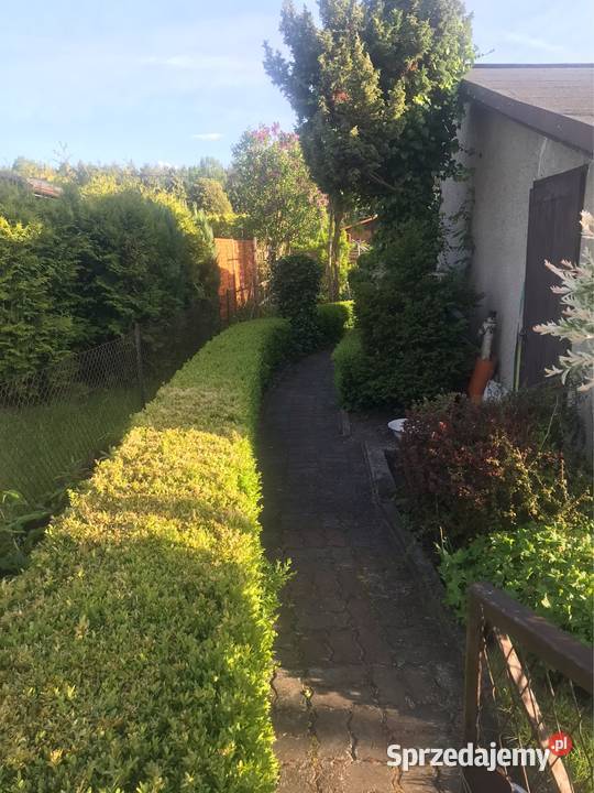 Działka ROD Jagodowo rekreacyjna Bydgoszcz sprzedam