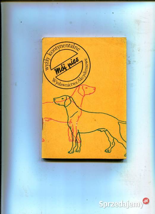 Wyżły kontynentalne sprzedam