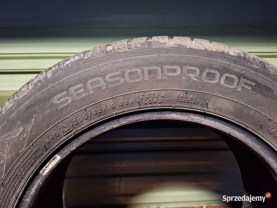 Opony Nokian Seasonproof 2056016 205