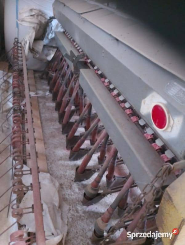 siewnk poznaniak Sokoły