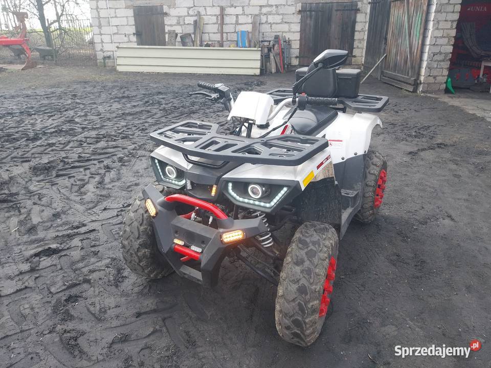 Quad thor benyco kujawsko-pomorskie Radzyń Chełmiński