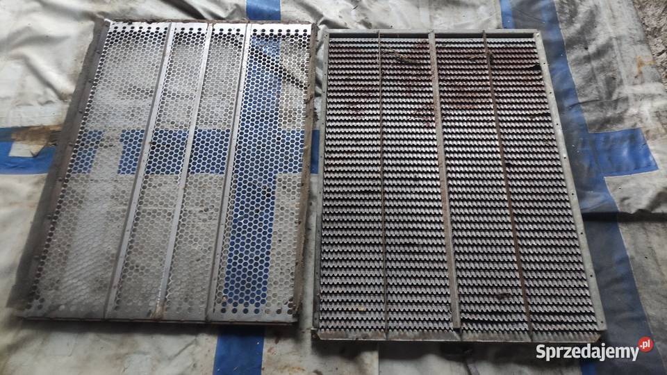 Heder do kukurydzy International 843f 4 rzędowy Parzyce