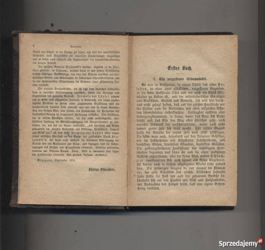 Jermola der Topfer Pan Severin Soplica Der Szczecin