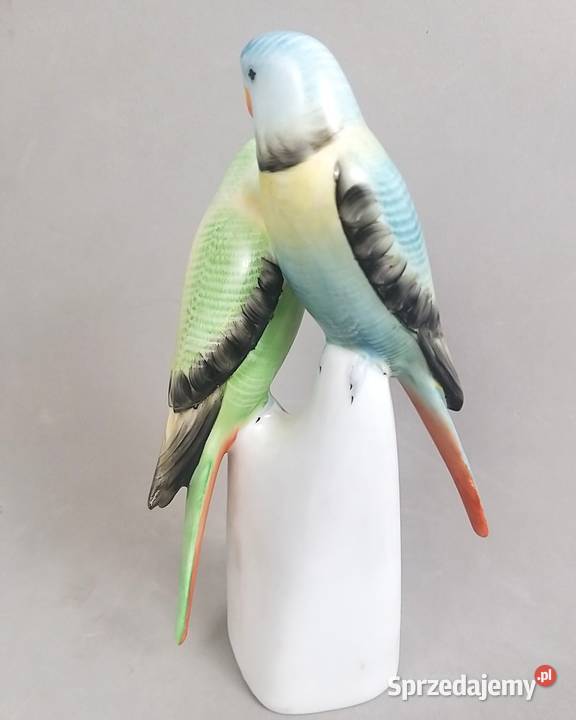 Papużki faliste zielone Hollohaza papugi Węgry Bronisze