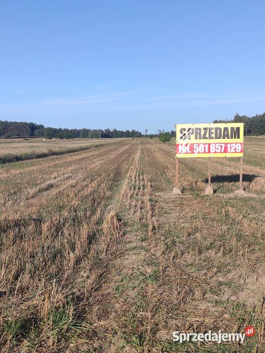 Ziemia rolna 153ha Długa działka Chociw