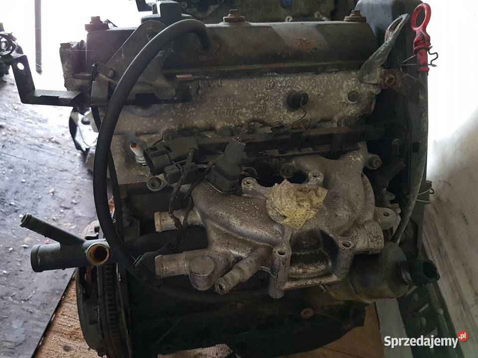 SEAT IBIZA 1998 SILNIK 13 BENZYNA AAV osobowe Turek