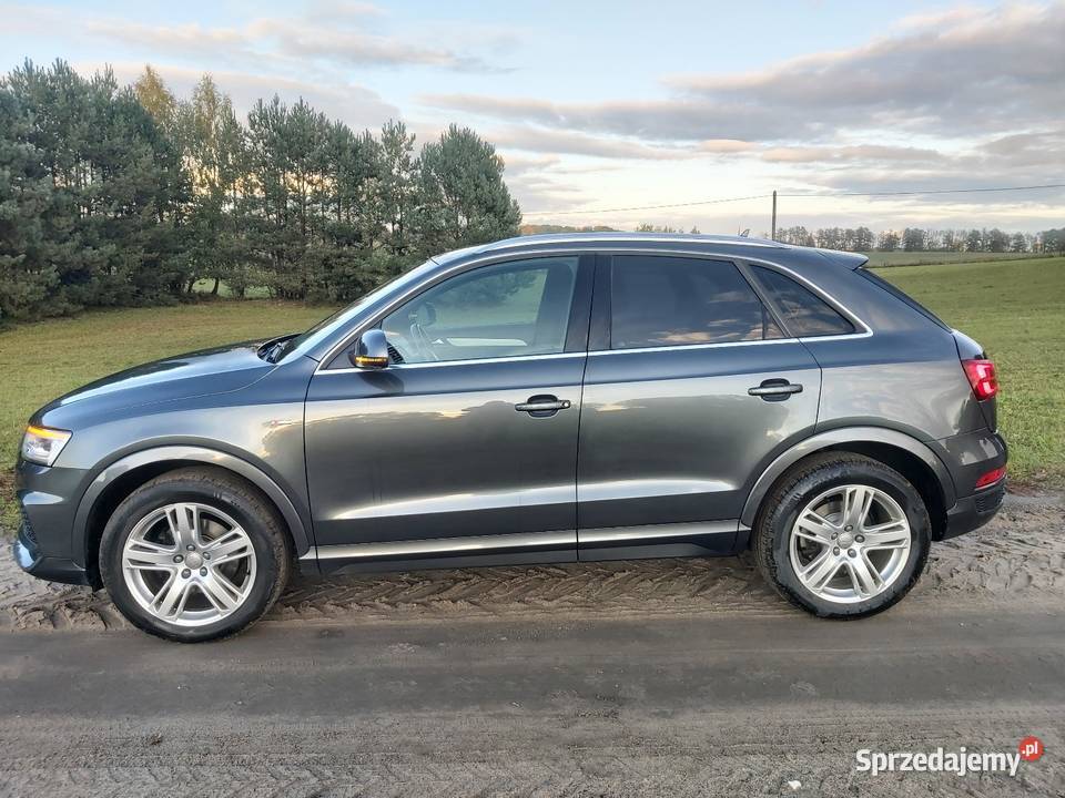 Audi Q3 Brodnica