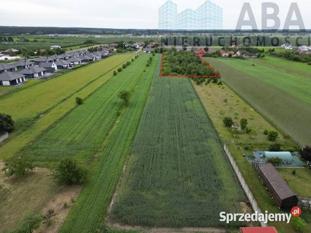 Żychlin gm Stare Miasto działka budowlana na prąd
