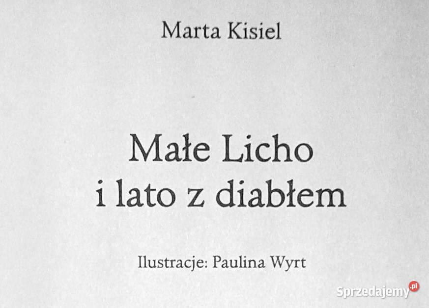 Małe Licho i tajemnica Niebożątka Marta Kisiel lubelskie Chełm