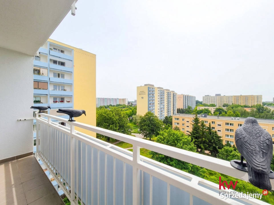 Mieszkanie 627m2 3pokojowe Poznań