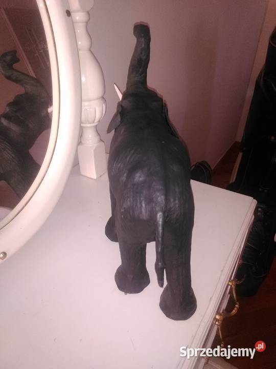 słoń naturalistycznie wyglądający Katowice