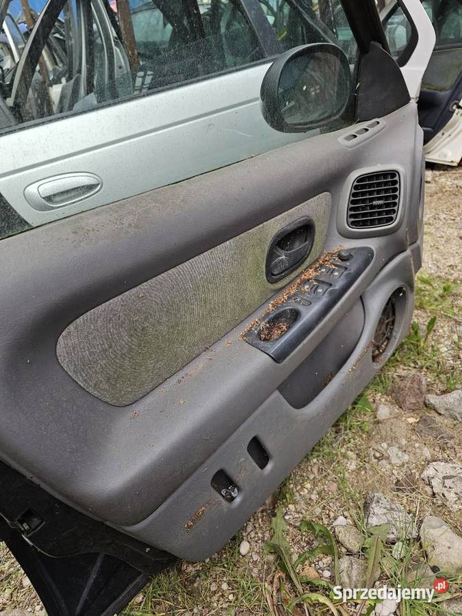 Drzwi laguna 1 lewy przód