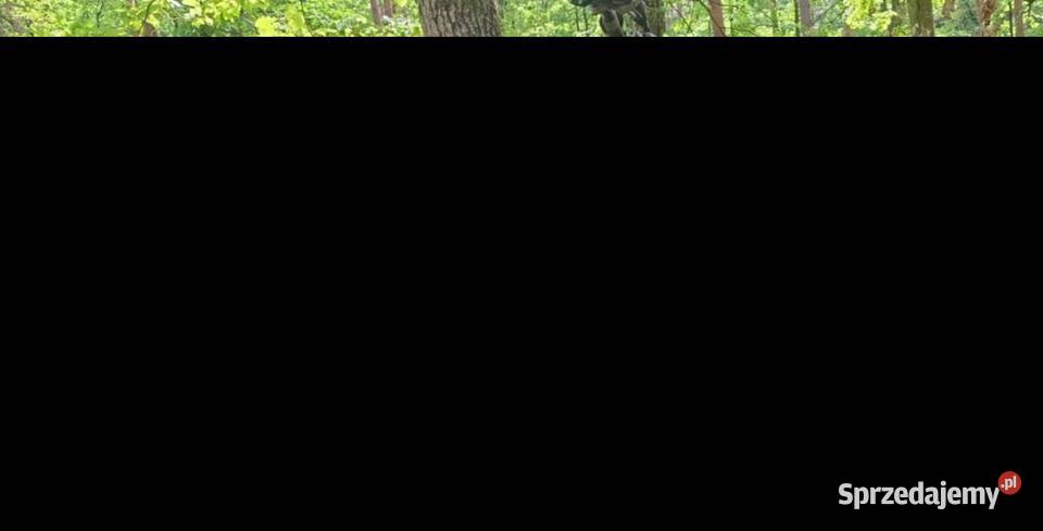 Kawaski kx450f Drozdowice Wielkie