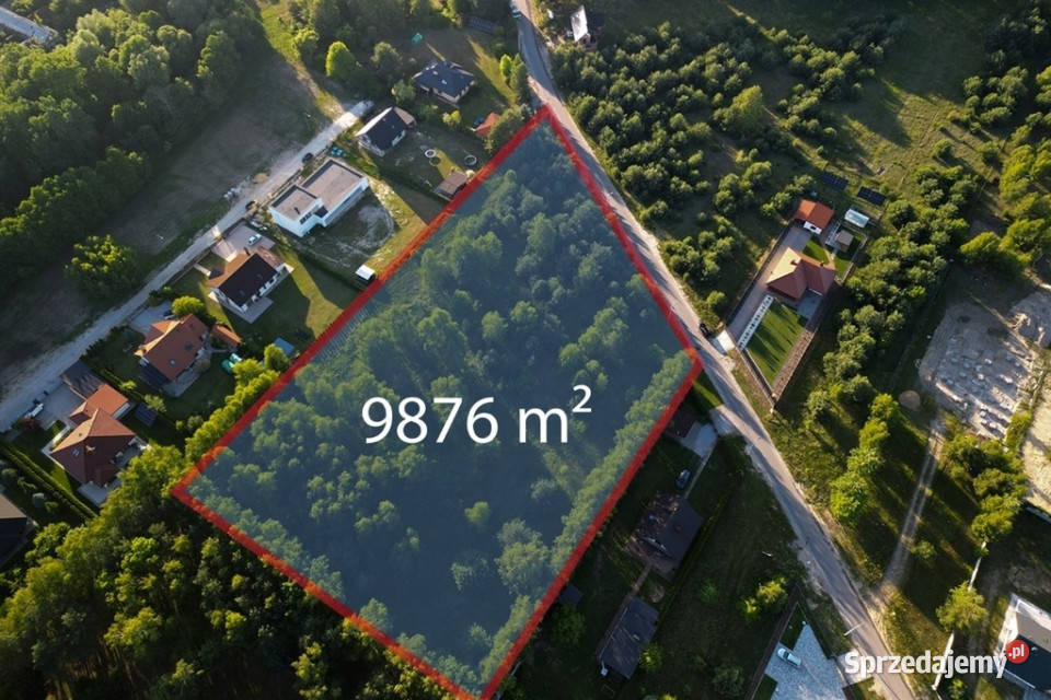Duża działka 9876 m lesie Pabianic 144m Jadwinin