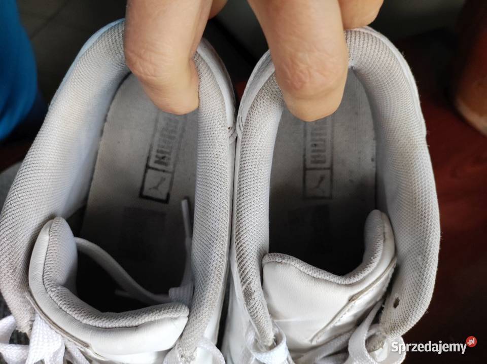 Buty do chodzenia damskie Puma sneakersy świętokrzyskie Kielce