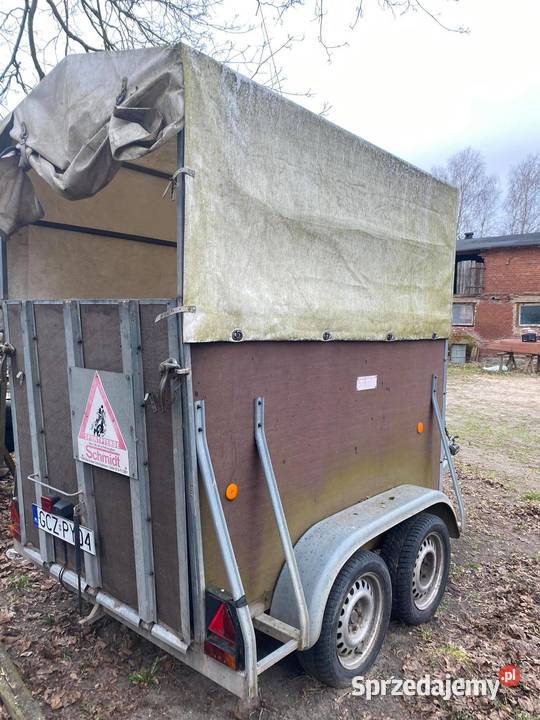 Przyczepa do przewozu koni Przechlewo