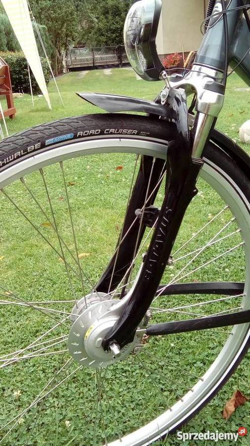 Rower Batavus Weekend Truskolasy