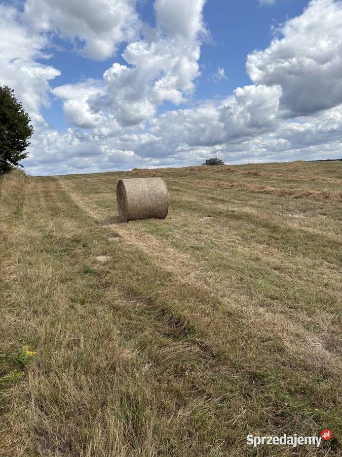 Sprzedam siano w okrągłych belach Stary Lubliniec