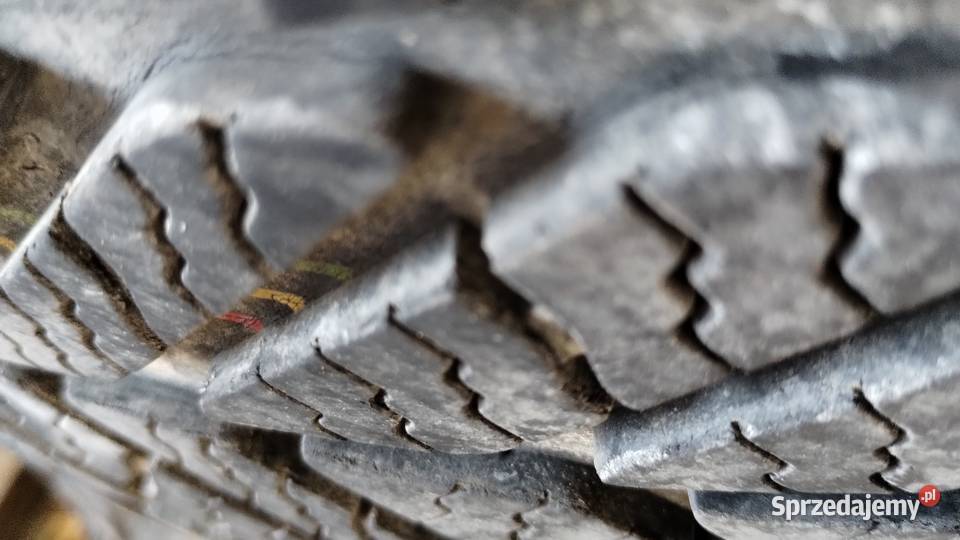 Opony ms 205 55 16 Dębica frigo podkarpackie Leżajsk sprzedam
