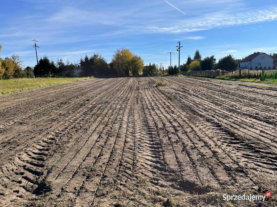 Mulczowanie wgłębne i powierzchniowe czyszczenie Karczowanie i usuwanie drzew Usługi Alwernia prace ogrodowe