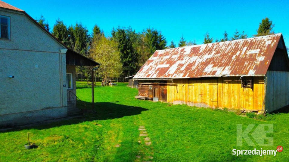Dom wolnostojący 8022m2 Wzdów