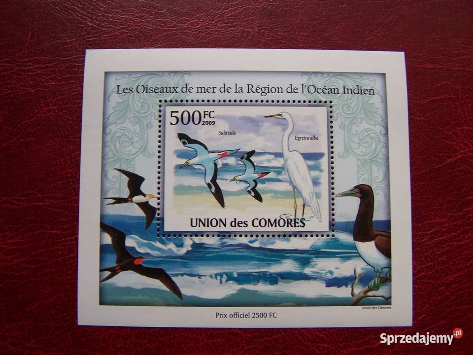 Komory 2009 MNH Fauna Ptaki Morskie Nakład 2500 Tychy