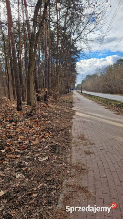Działka na sprzedaż 2500m2 Łomianki telefon