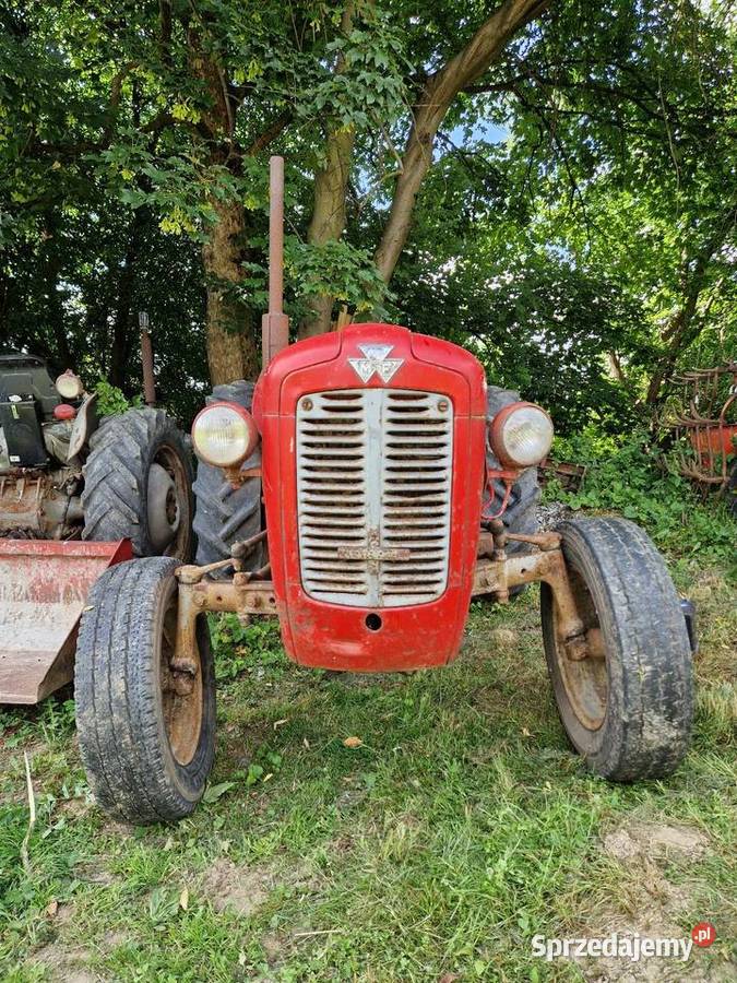 Massey ferguson 35 ursus Skrzynia biegów Manualna