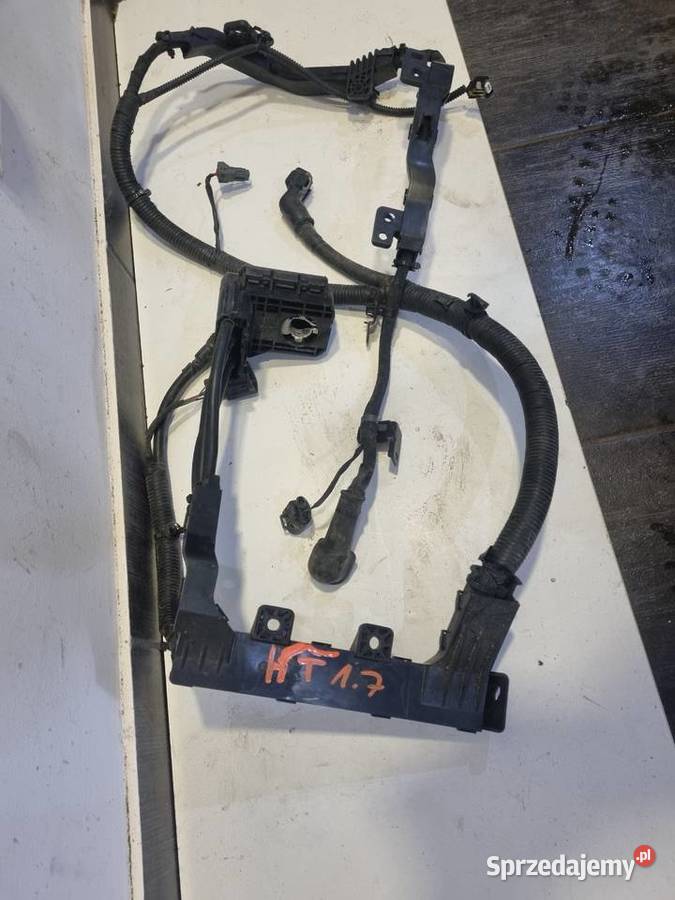 WIAZKA PLUS HYUNDAI TUCSON III 17 CRDI Skierniewice