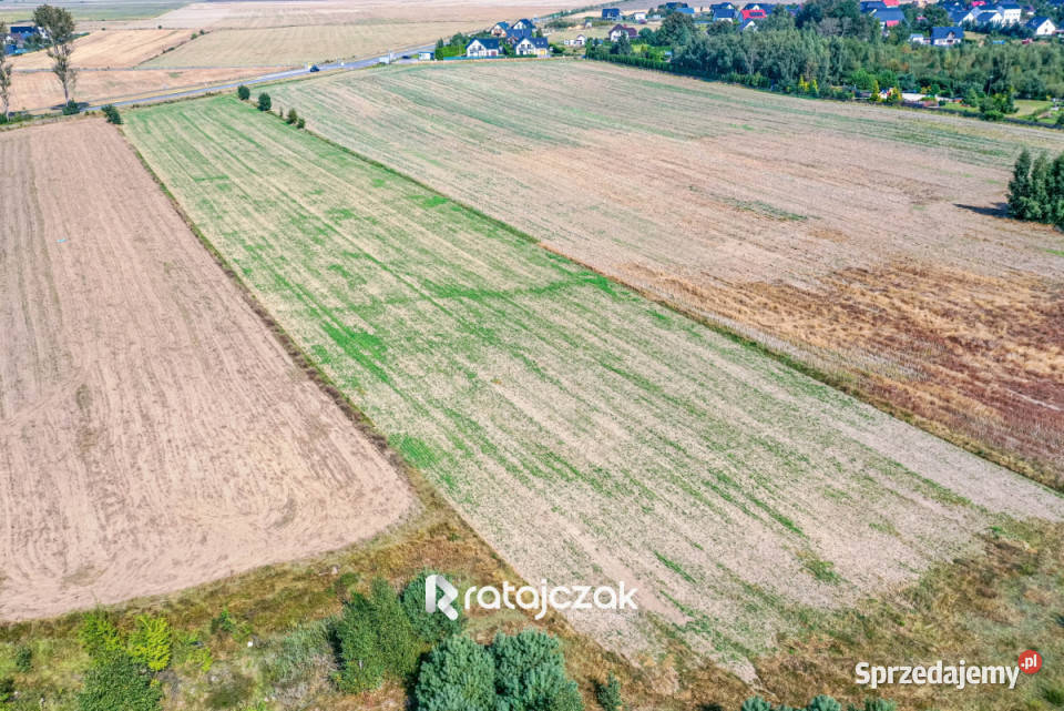 sprzedaży gruntu 9632m2 Łebcz Dr Augusta sprzedam