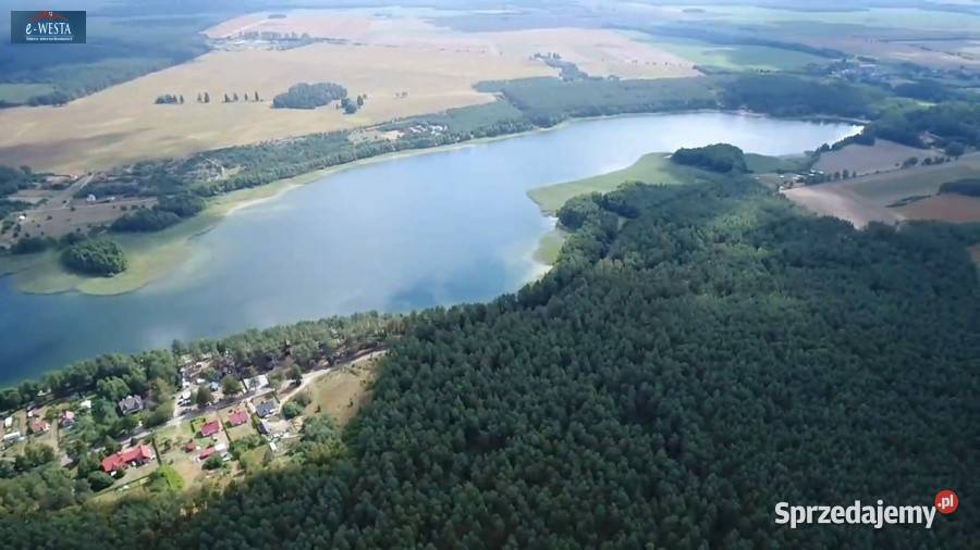 Sprzedam grunt Dymin 5594m2 sprzedam