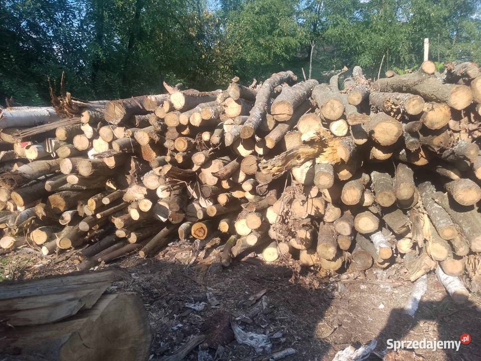 Tanie drewno opałowekominkowe z transportem Gidle