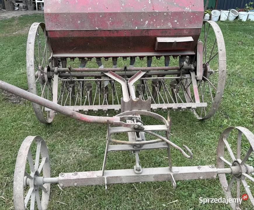 Siewnik konny świętokrzyskie Skalbmierz