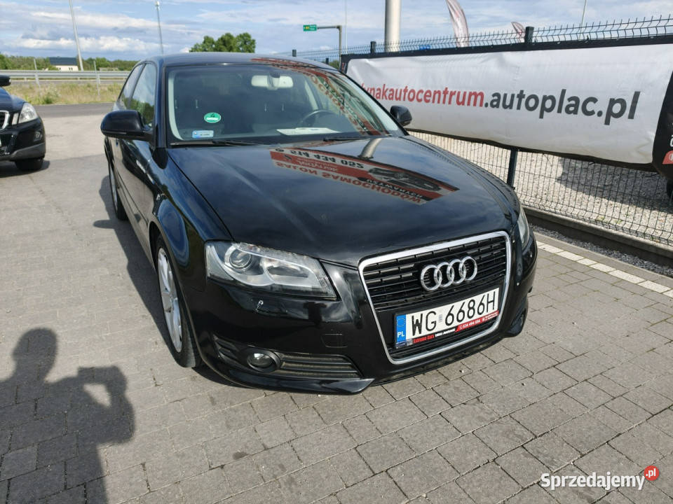 Audi A3 Sportback nowy 8P 20032012 sprzedam