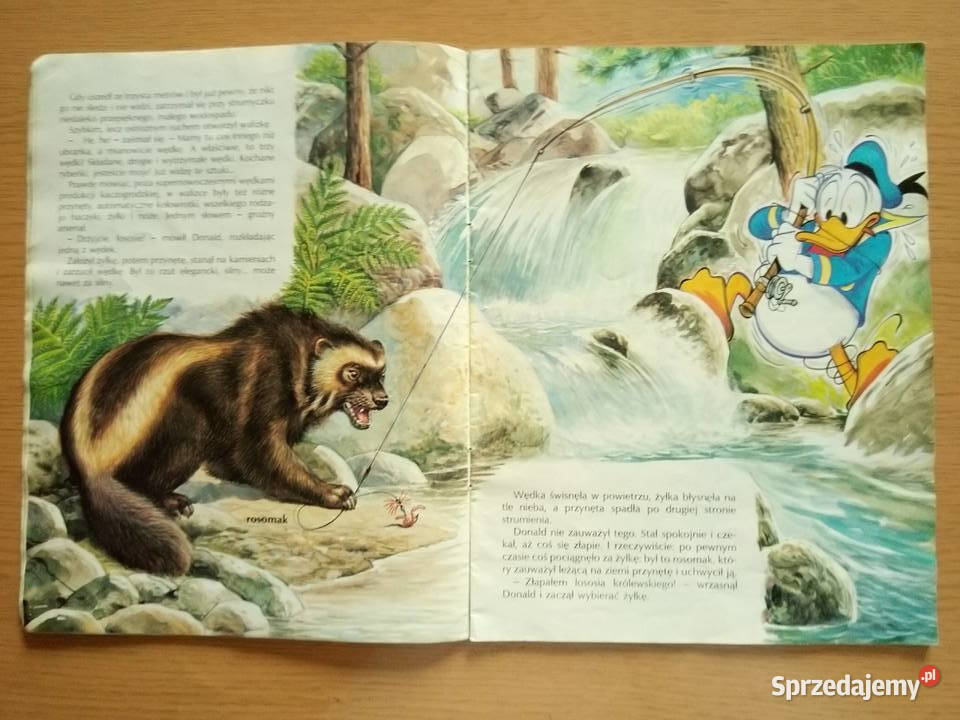 Wyprawa łososiowym szlakiem Kaczor Donald 1993r Książki dla dzieci Dąbrowa Górnicza sprzedam